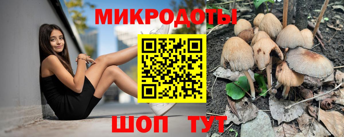 Псилоцибиновые грибы MAGIC MUSHROOMS  Вход с VPN  Унеча 